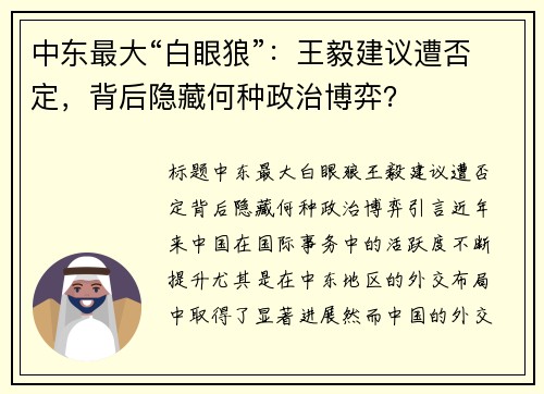 中东最大“白眼狼”：王毅建议遭否定，背后隐藏何种政治博弈？